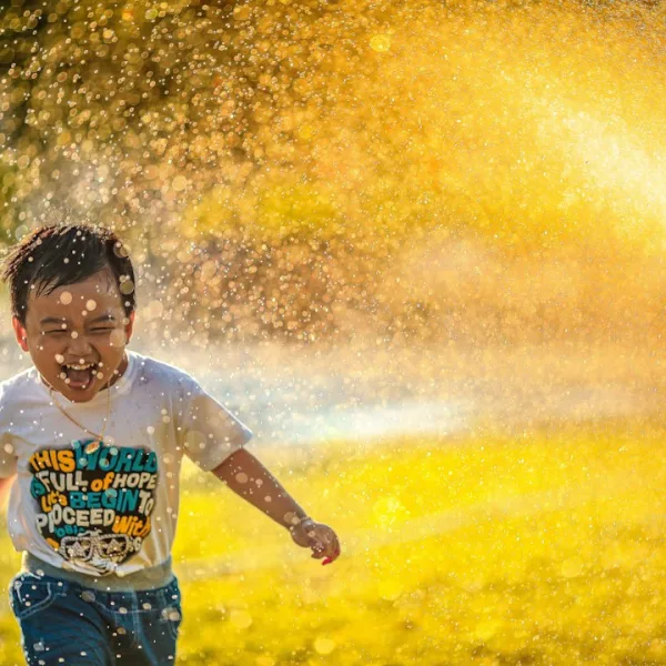 Photo The Power of Gratitude: How Appreciation Can Change Your Life