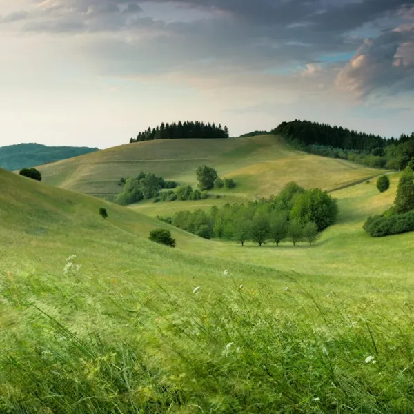 Photo The Role of Media in Mental Health: Navigating the Digital Landscape Mindfully