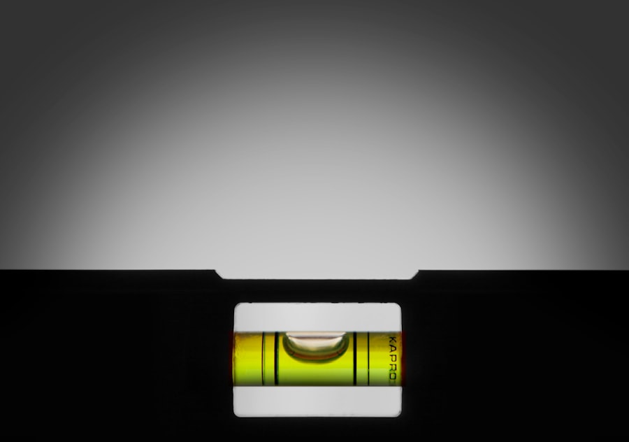 Control Theory in Environmental Psychology: Balancing Autonomy and Overload