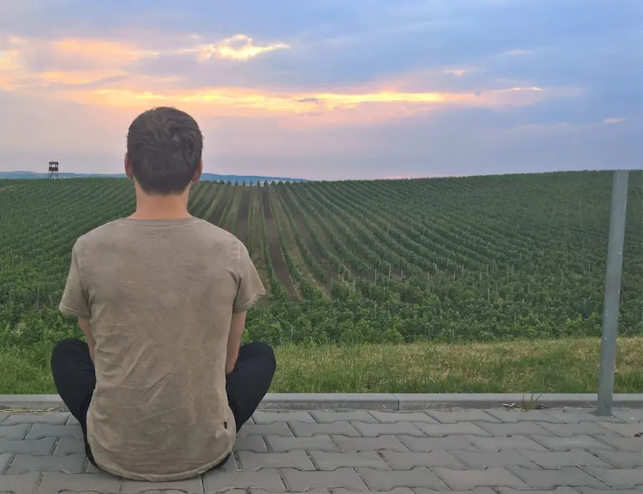 mindfulness meditation for beginners