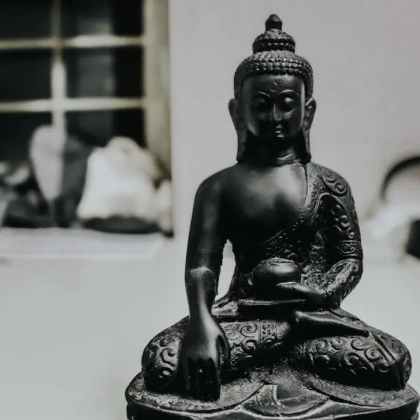 Photo "Mindfulness Meditation for Beginners: A Comprehensive Guide"